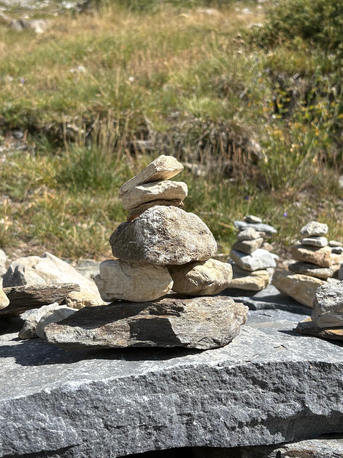 A neatly arranged therapy space designed for Gestalt practice, featuring two contemporary fabric armchairs facing each other with a low wooden table between them holding a glass carafe of water and two simple tumblers. The room has warm wooden flooring, a textured natural fiber rug, and a tall leafy plant in the corner. Soft late-afternoon natural light filters through sheer white curtains, creating gentle shadows and a calm, grounded atmosphere. Shot at eye level with photographic realism, using a shallow depth of field that keeps the chairs sharply in focus while the background softly blurs, evoking a safe, professional, and inviting environment for inner exploration.